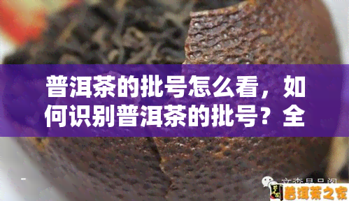 普洱茶的批号怎么看，如何识别普洱茶的批号？全面解析与步骤指南