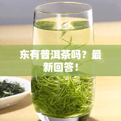 东有普洱茶吗？最新回答！