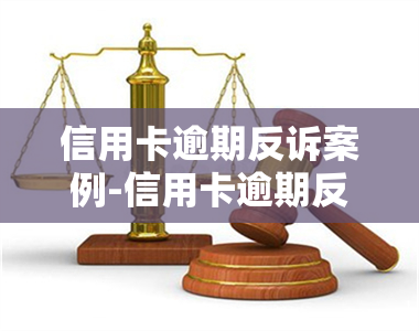 信用卡逾期反诉案例-信用卡逾期反诉案例大全