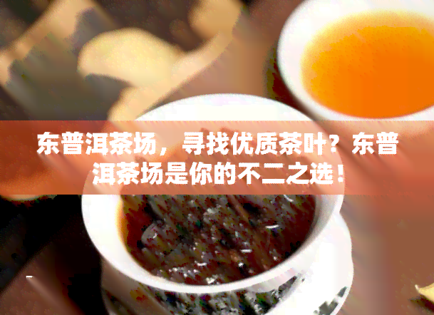 东普洱茶场，寻找优质茶叶？东普洱茶场是你的不二之选！