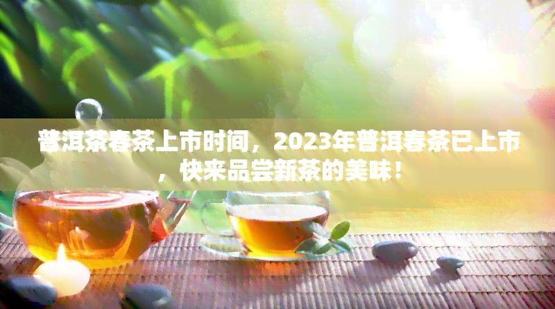 普洱茶春茶上市时间，2023年普洱春茶已上市，快来品尝新茶的美味！