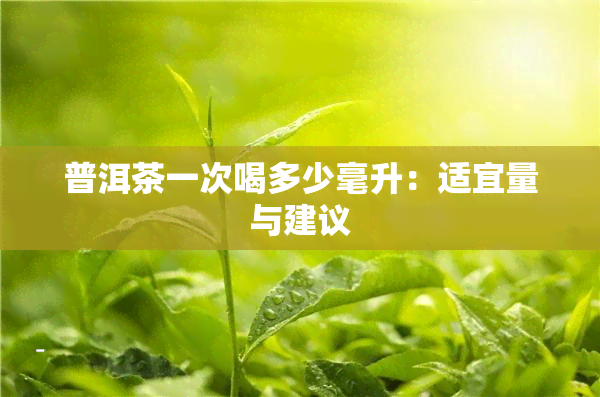 普洱茶一次喝多少毫升：适宜量与建议