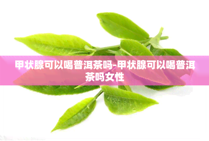 甲状腺可以喝普洱茶吗-甲状腺可以喝普洱茶吗女性