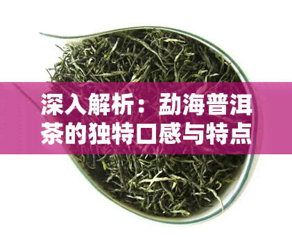 深入解析：勐海普洱茶的独特口感与特点