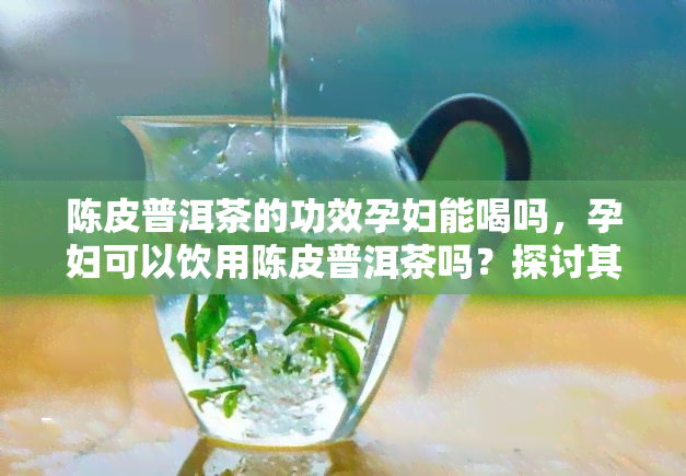 陈皮普洱茶的功效孕妇能喝吗，孕妇可以饮用陈皮普洱茶吗？探讨其功效与适宜人群