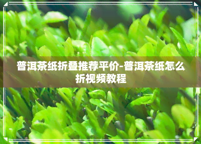 普洱茶纸折叠推荐平价-普洱茶纸怎么折视频教程