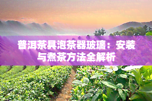 普洱茶具泡茶器玻璃：安装与煮茶方法全解析