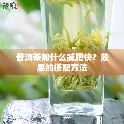 普洱茶加什么减肥快？效果的搭配方法