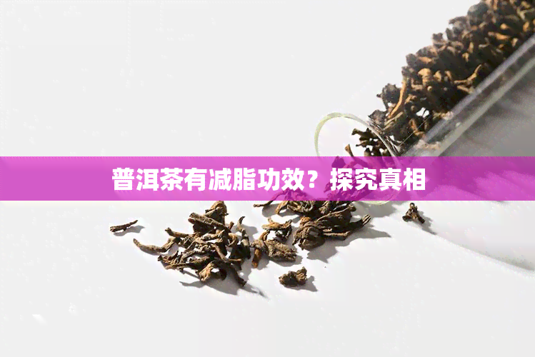 普洱茶有减脂功效？探究真相