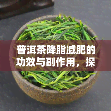 普洱茶降脂减肥的功效与副作用，探究普洱茶的降脂减肥功效及其潜在副作用