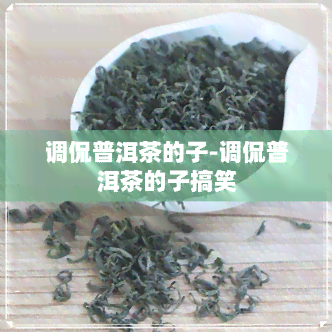 调侃普洱茶的子-调侃普洱茶的子搞笑