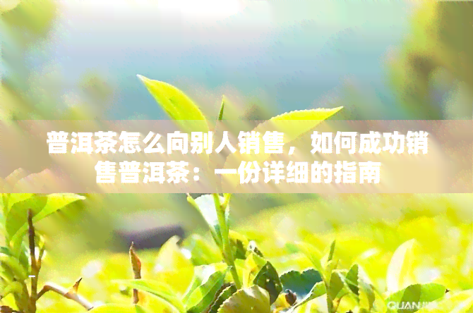 普洱茶怎么向别人销售，如何成功销售普洱茶：一份详细的指南