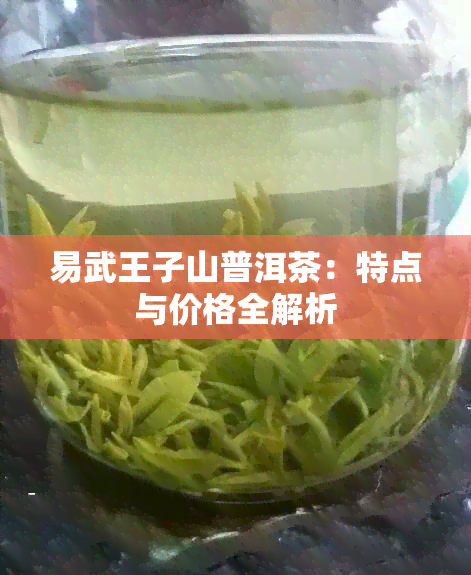 易武王子山普洱茶：特点与价格全解析