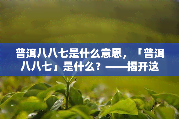 普洱八八七是什么意思，「普洱八八七」是什么？——揭开这个神秘号的面纱