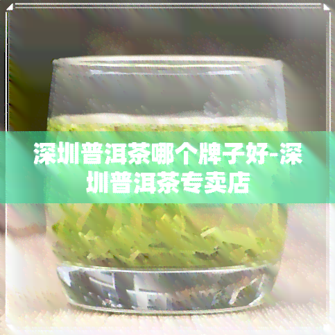 深圳普洱茶哪个牌子好-深圳普洱茶专卖店