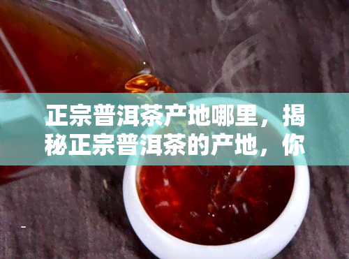 正宗普洱茶产地哪里，揭秘正宗普洱茶的产地，你喝对了吗？