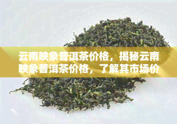 云南映象普洱茶价格，揭秘云南映象普洱茶价格，了解其市场价格和品质