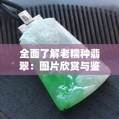 全面了解老糯种翡翠：图片欣赏与鉴别方法