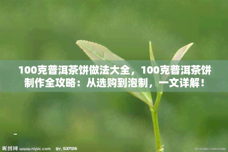 100克普洱茶饼做法大全，100克普洱茶饼制作全攻略：从选购到泡制，一文详解！