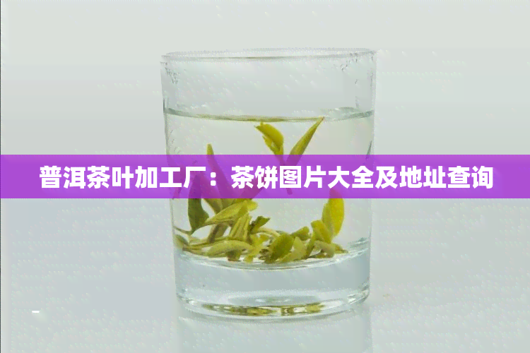 普洱茶叶加工厂：茶饼图片大全及地址查询