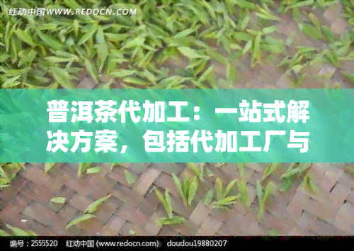 普洱茶代加工：一站式解决方案，包括代加工厂与协议