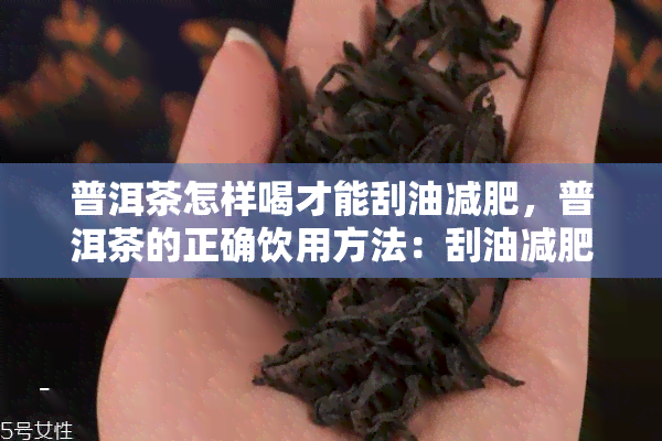 普洱茶怎样喝才能刮油减肥，普洱茶的正确饮用方法：刮油减肥的好帮手！