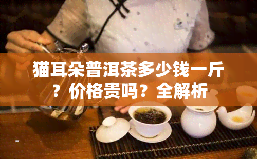 猫耳朵普洱茶多少钱一斤？价格贵吗？全解析