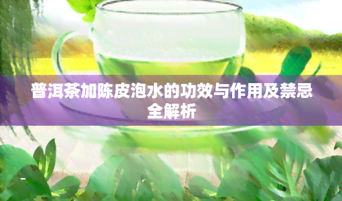 普洱茶加陈皮泡水的功效与作用及禁忌全解析