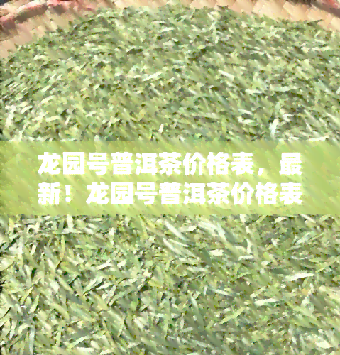 龙园号普洱茶价格表，最新！龙园号普洱茶价格表全览，一目了然！