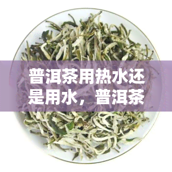 普洱茶用热水还是用水，普洱茶冲泡：热水or水？