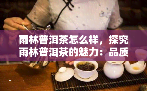 雨林普洱茶怎么样，探究雨林普洱茶的魅力：品质、口感和健益处