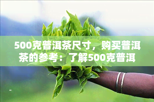 500克普洱茶尺寸，购买普洱茶的参考：了解500克普洱茶的常见尺寸