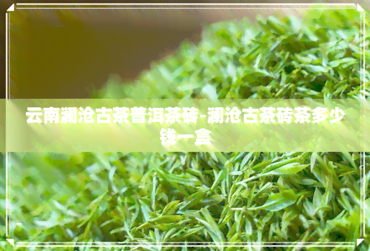 云南澜沧古茶普洱茶砖-澜沧古茶砖茶多少钱一盒