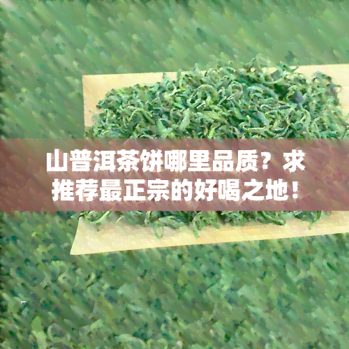 山普洱茶饼哪里品质？求推荐最正宗的好喝之地！