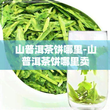 山普洱茶饼哪里-山普洱茶饼哪里卖