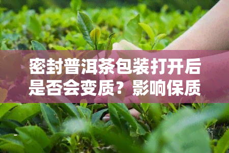 密封普洱茶包装打开后是否会变质？影响保质期的因素是什么？