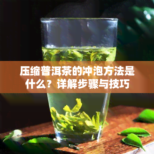 压缩普洱茶的冲泡方法是什么？详解步骤与技巧