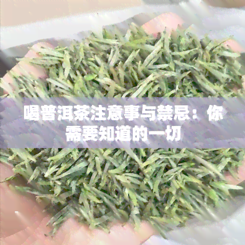 喝普洱茶注意事与禁忌：你需要知道的一切