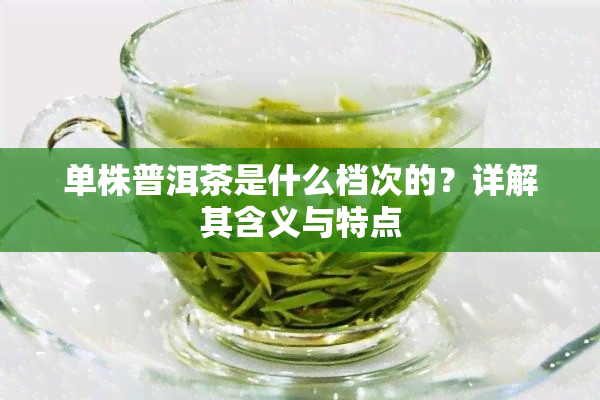 单株普洱茶是什么档次的？详解其含义与特点