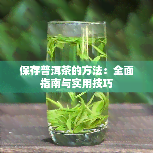 保存普洱茶的方法：全面指南与实用技巧