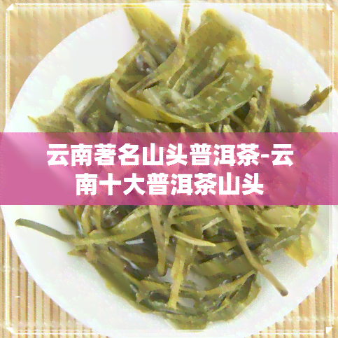 云南著名山头普洱茶-云南十大普洱茶山头