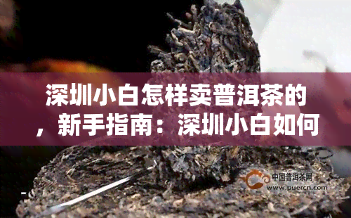 深圳小白怎样卖普洱茶的，新手指南：深圳小白如何成功销售普洱茶？