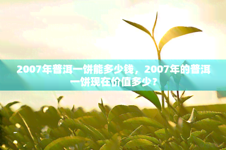 2007年普洱一饼能多少钱，2007年的普洱一饼现在价值多少？