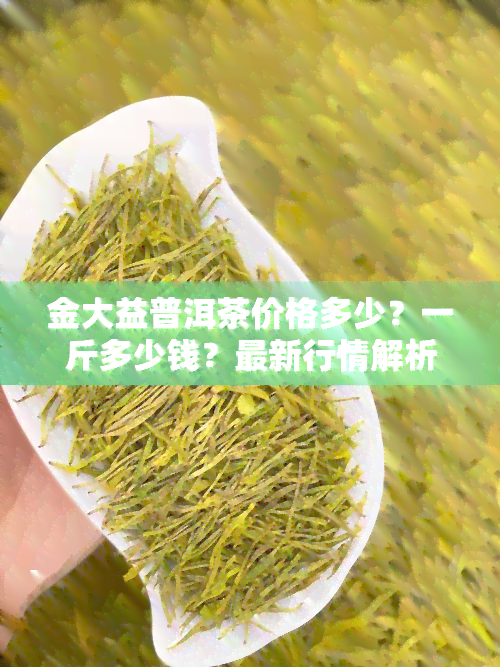 金大益普洱茶价格多少？一斤多少钱？最新行情解析