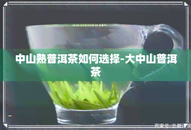 中山熟普洱茶如何选择-大中山普洱茶