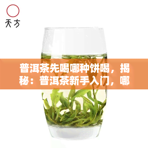 普洱茶先喝哪种饼喝，揭秘：普洱茶新手入门，哪种饼茶最适合初尝？