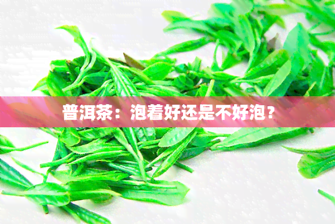 普洱茶：泡着好还是不好泡？