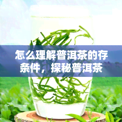 怎么理解普洱茶的存条件，探秘普洱茶：如何正确理解其存条件？