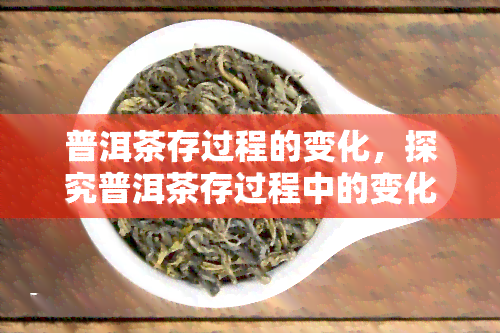 普洱茶存过程的变化，探究普洱茶存过程中的变化：从新茶到老茶的奇妙转变