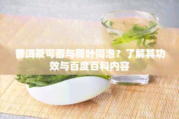 普洱茶可否与荷叶同泡？了解其功效与百度百科内容